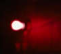 1x03_0772.jpg