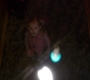 1x03_0890.jpg