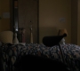 1x03_0893.jpg