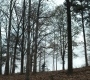 1x03_1177.jpg
