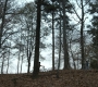 1x03_1206.jpg