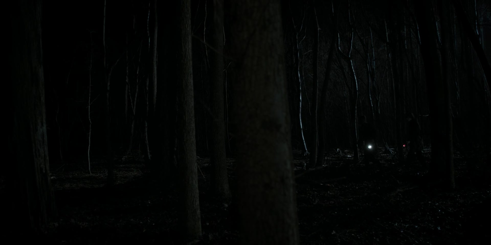 1x05_1462.jpg