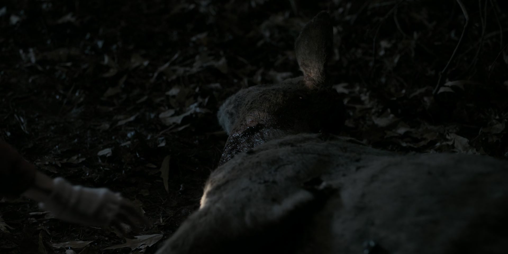 1x05_1474.jpg
