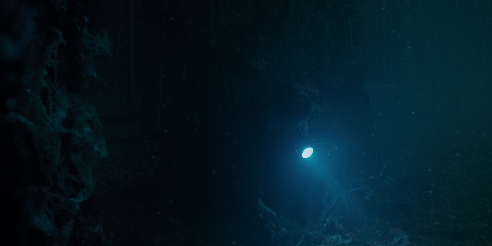 1x05_1581.jpg