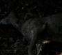 1x05_1497.jpg