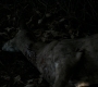 1x05_1499.jpg