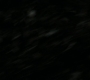 1x05_1503.jpg