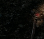 1x05_1509.jpg