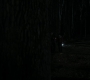 1x05_1512.jpg