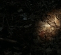 1x05_1523.jpg