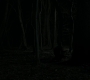 1x05_1556.jpg