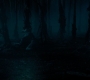1x06_0232.jpg