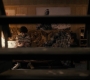 1x06_0319.jpg