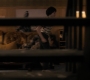 1x06_0327.jpg