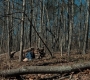 1x06_0548.jpg