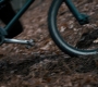 1x06_0992.jpg