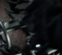 1x06_1024.jpg