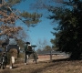 1x07_0097.jpg