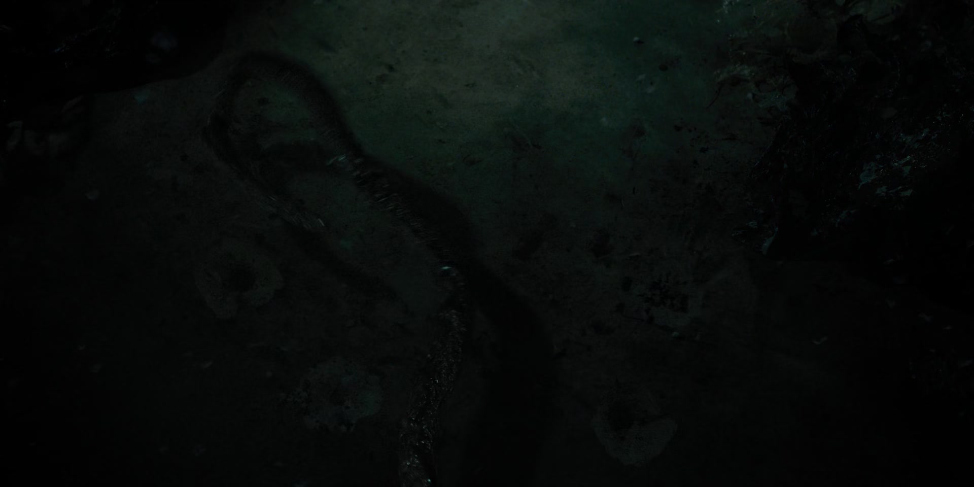 1x08_1175.jpg