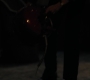 1x08_0208.jpg