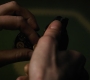 1x08_0220.jpg