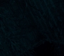1x08_0383.jpg