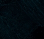 1x08_0385.jpg