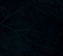 1x08_0387.jpg