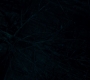 1x08_0388.jpg