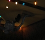 1x08_0571.jpg