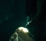 1x08_0621.jpg