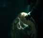 1x08_0622.jpg