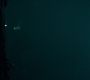 1x08_0626.jpg