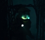 1x08_0634.jpg