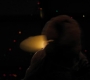 1x08_0737.jpg