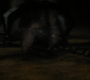 1x08_0751.jpg