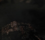 1x08_0781.jpg