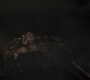 1x08_0782.jpg