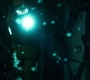 1x08_0794.jpg
