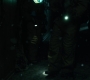1x08_0813.jpg