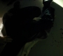 1x08_1085.jpg