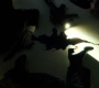 1x08_1086.jpg