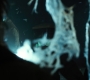 1x08_1157.jpg