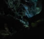 1x08_1166.jpg