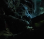 1x08_1167.jpg