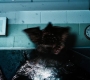 1x08_1293.jpg