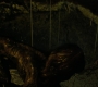 2x08_0021.jpg