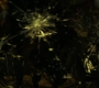 2x08_0040.jpg