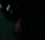 2x08_0382.jpg