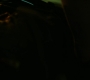 2x08_0388.jpg
